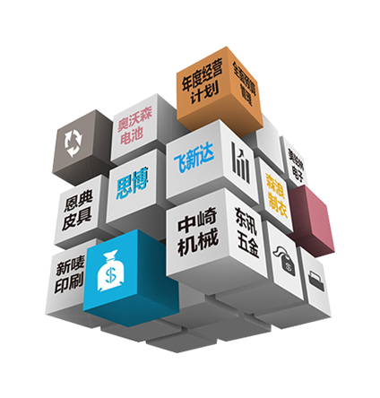全面預算管理咨詢(xún)